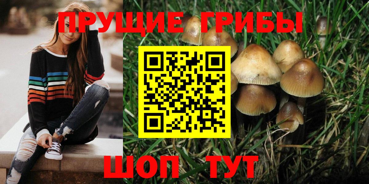 Псилоцибиновые грибы Magic Shrooms Лесной