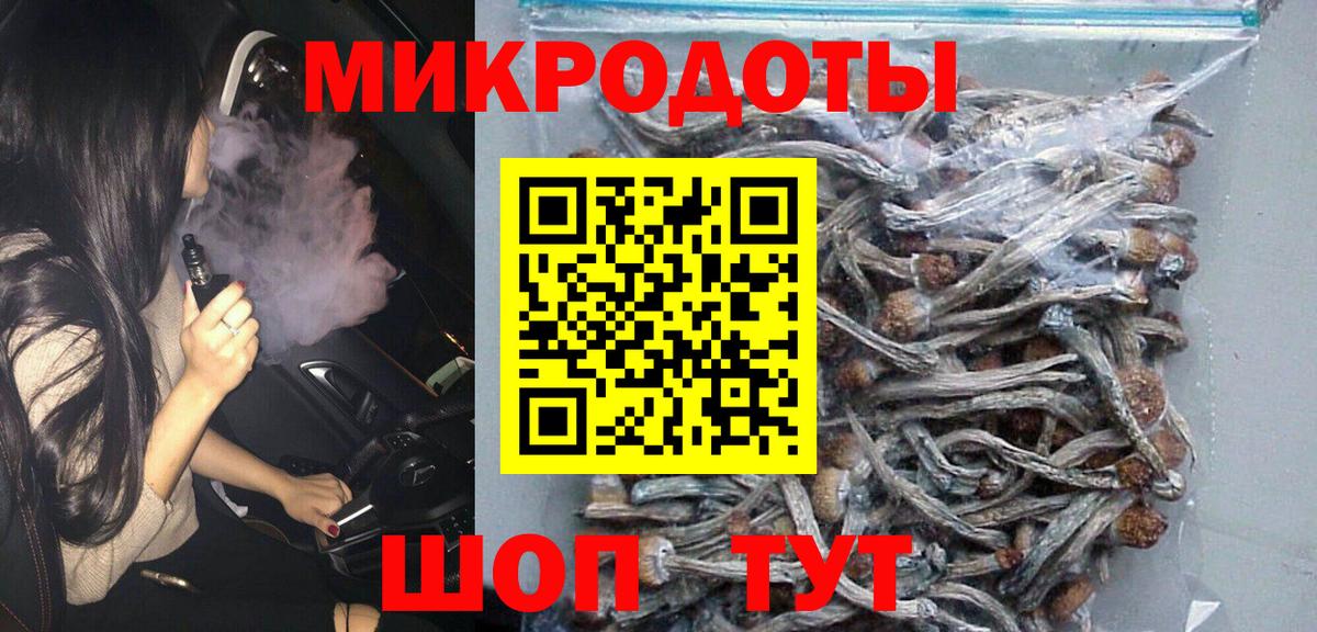 магазин    Вход с VPN  Лесной  Псилоцибиновые грибы Psilocybe 
